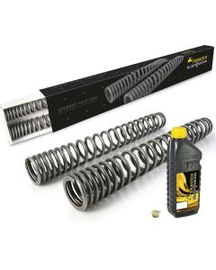 Progressive fork springs for KTM 790 Adventure (2025-)